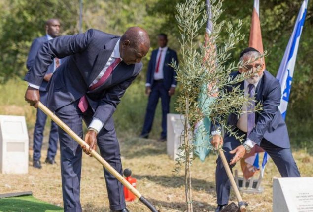 Kenyans to plant 100m seedlings