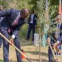Kenyans to plant 100m seedlings on tree-planting holiday