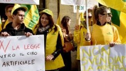 Italy forbids lab-grown meat in effort for farmers