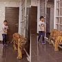 Pakistani YouTuber Sparks Controversy with Chained Tiger Video