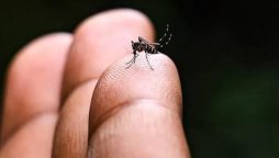 Chikungunya vaccine: US passes 1st dose against mosquito-borne virus