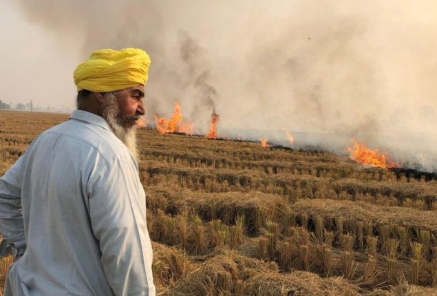 Indian farmers fire stubble