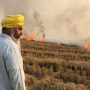 Why Indian farmers fire stubble in spite pollution & health risks?