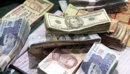 Currency Rates in Pakistan – Dollar, Pound, Euro on 14 Nov 2023