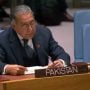 Peace will elude South Asia without resolving Kashmir dispute: Munir Akram
