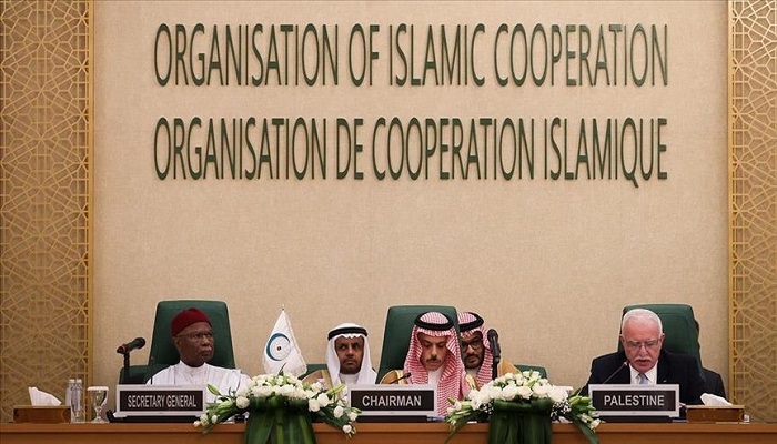 OIC calls summit to discuss Israeli aggression on Nov 12