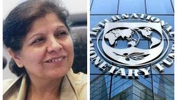 IMF likely to be talked for another programme, says Shamshad