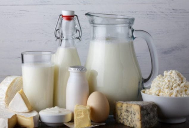 China to import milk, dairy products from Pakistan