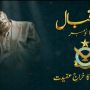 PAF pays tribute to national poet Allama Iqbal