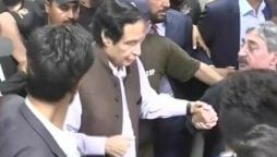 Pervez Elahi