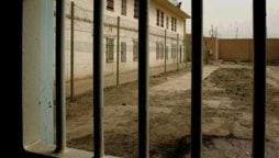 IHC jail trial