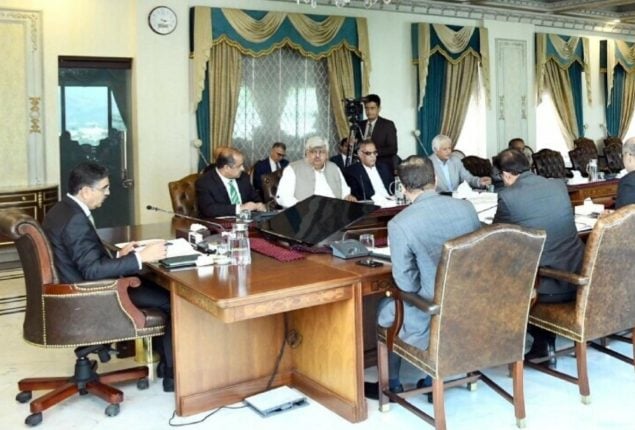 PM chairs Apex Committee of Special Investment Facilitation Council