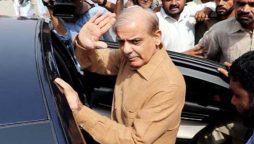 Shehbaz Sharif, others acquitted in Ashiana Housing scandal