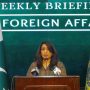 India should respect inalienable right of Kashmiris to self-determination: FO