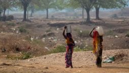 No water, no hope: Tunisian villages struggle in drought's grip