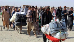0.41 mn Afghans repatriated to homeland