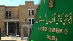 ECP dismisses election delay assertions