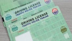 learner driving license renewal