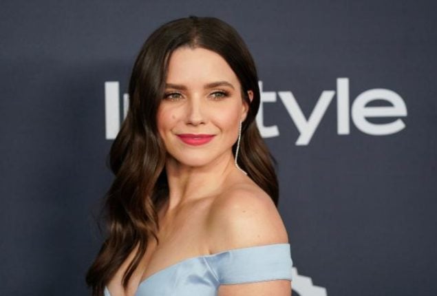 Who is Sophia Bush? Exploring the Life and Career of an Actress