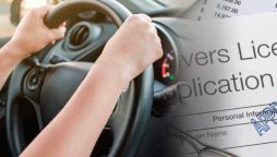 Punjab learner driving permits