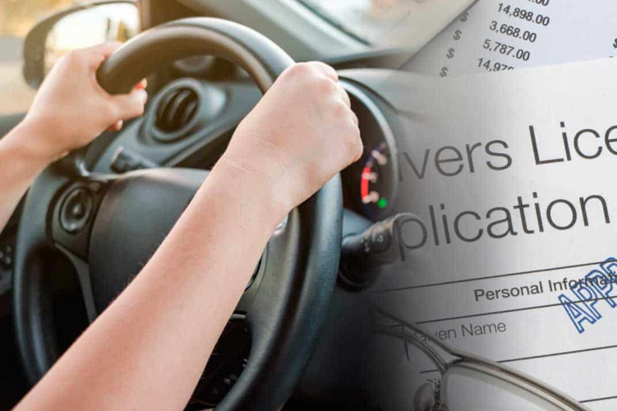 Punjab learner driving permits