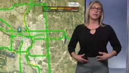 Canadian News Anchor Confronts Body Shamer Live On Air