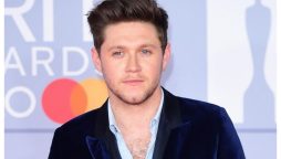 Who is Niall Horan? Exploring the Irish Melody Maker