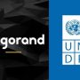 UN Partners with Algorand to Train Staff on Blockchain Tech