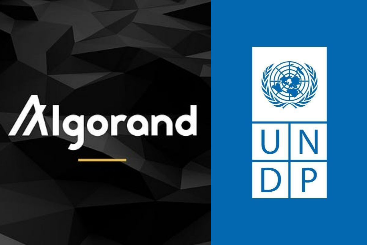 UN Partners with Algorand to Train Staff on Blockchain Tech