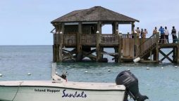 Newlywed Boston Woman Fatally Attacked by Shark in Bahamas