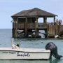 Newlywed Boston Woman Fatally Attacked by Shark in Bahamas