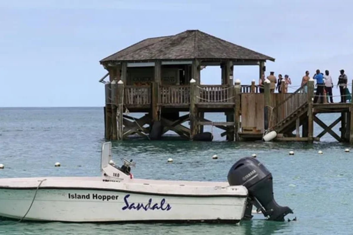 Newlywed Boston Woman Fatally Attacked by Shark in Bahamas
