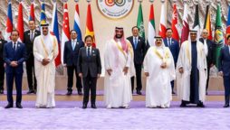 GCC Leaders Unite with President Erdogan against Israel demand end to occupation