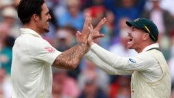 Warner breaks silence on Johnson's criticism: "Cricket summer needs its headlines"