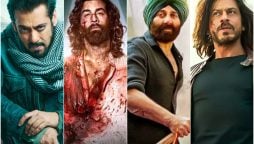 Top 10 Highest-Grossing Bollywood Movies in 2023!