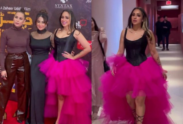 Netizens criticized Faryal Mahmoud and Ushna Shah red carpet look