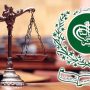 ECP forms appellate tribunals for scrutiny of nomination papers 