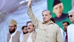 PML-N president