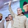 PTI is plotting to postpone the general elections: PML-N president