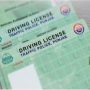 Punjab caretaker chief minister delays driving license fee hike