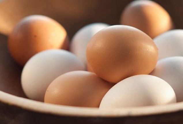 Egg prices drop in Pakistan