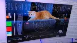 NASA Beams Cat Video 'Taters' from Space in Historic Laser Transmission