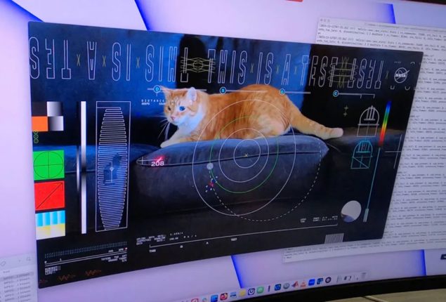 NASA Beams Cat Video ‘Taters’ from Space in Historic Laser Transmission