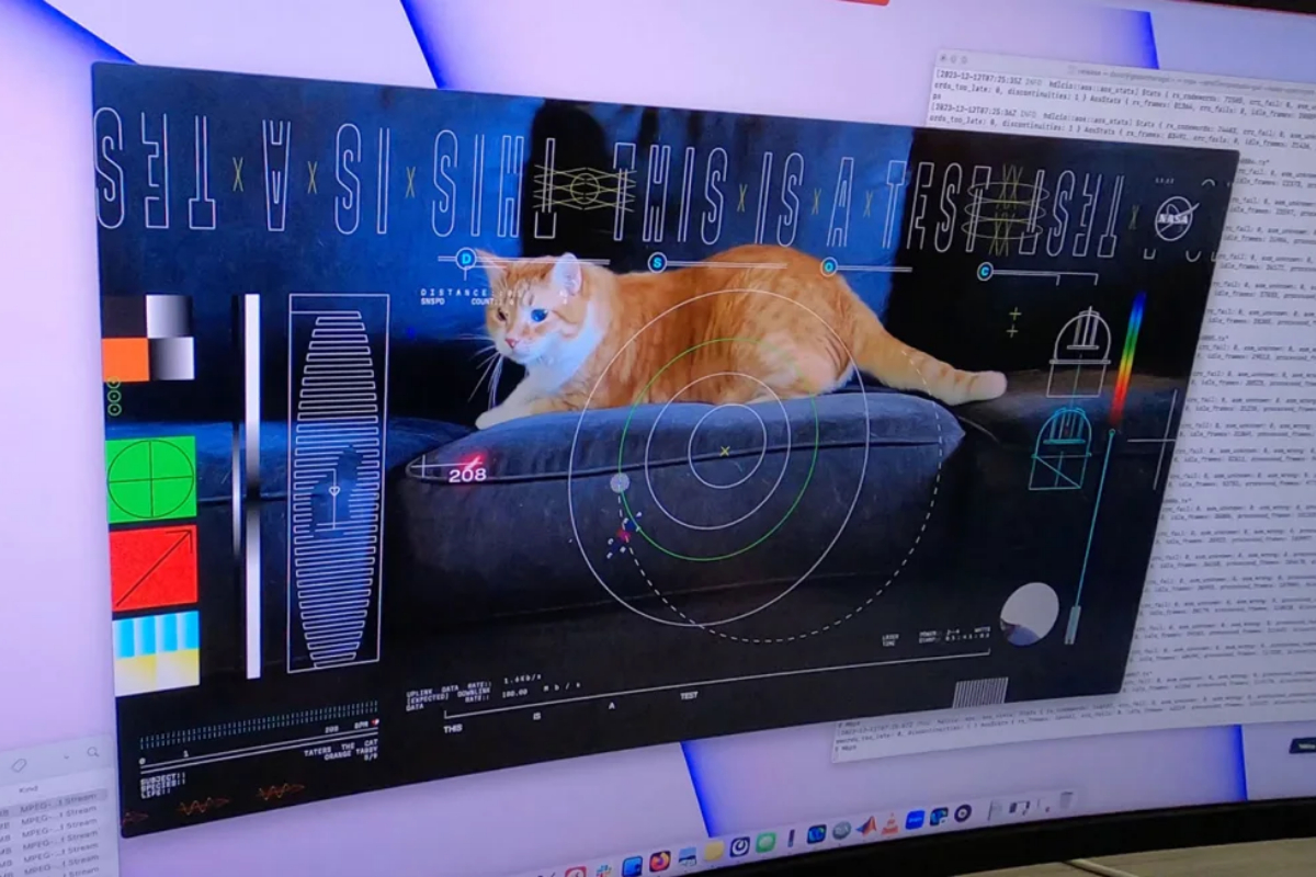 NASA Beams Cat Video 'Taters' from Space in Historic Laser Transmission