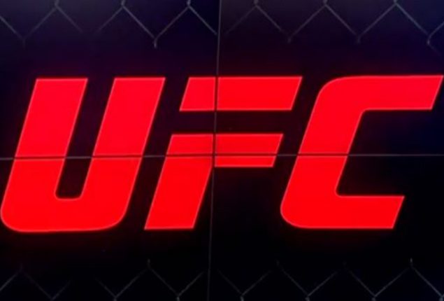 A Recap of the Latest UFC Titleholders in 2023