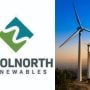 Woolnorth Renewables Embraces AI for Eagle Conservation