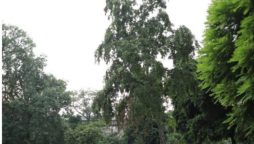 Peshawar weather update today