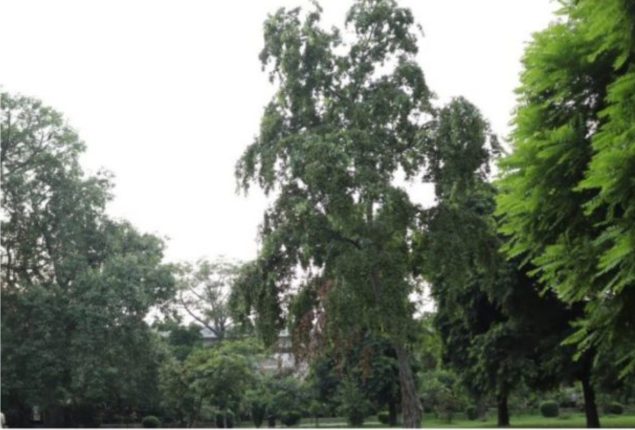 Peshawar weather update today