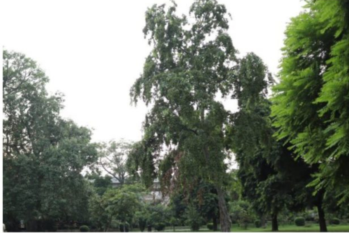 Peshawar weather update