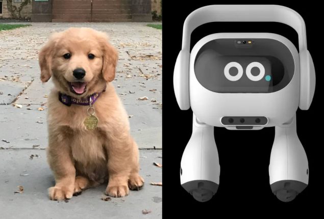 LG Unveils AI Robot for Pet Monitoring and Home Care